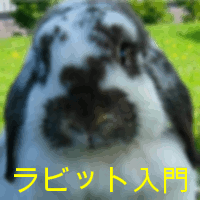 rabit-top.gif